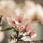 Flirten per Textnachricht Tipps und Tricks